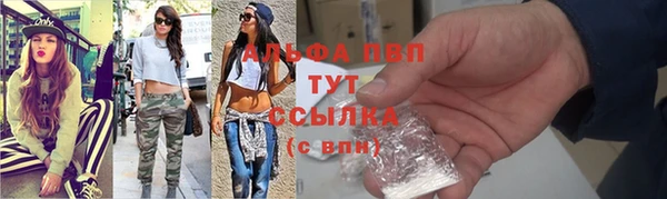 ПСИЛОЦИБИНОВЫЕ ГРИБЫ Сатка